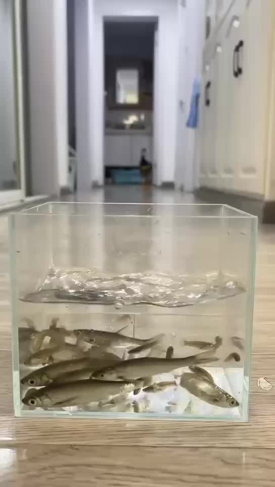 轻松一秒：普通人一辈子能存多少钱，上限还挺高…