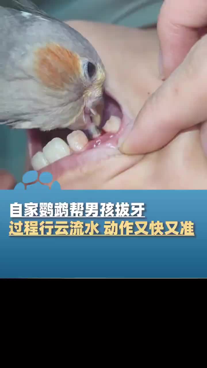 轻松一刻：别把钱看太重，在我眼中钱不过是命而已