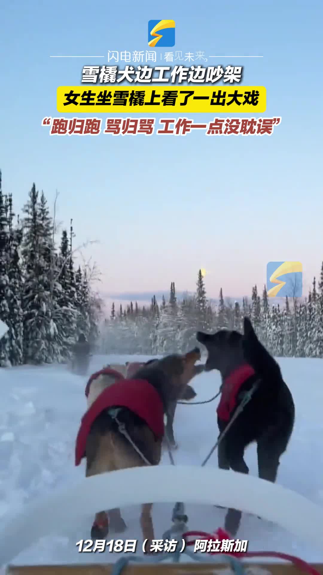 轻松一刻：想开点，肾败乃兵家常事