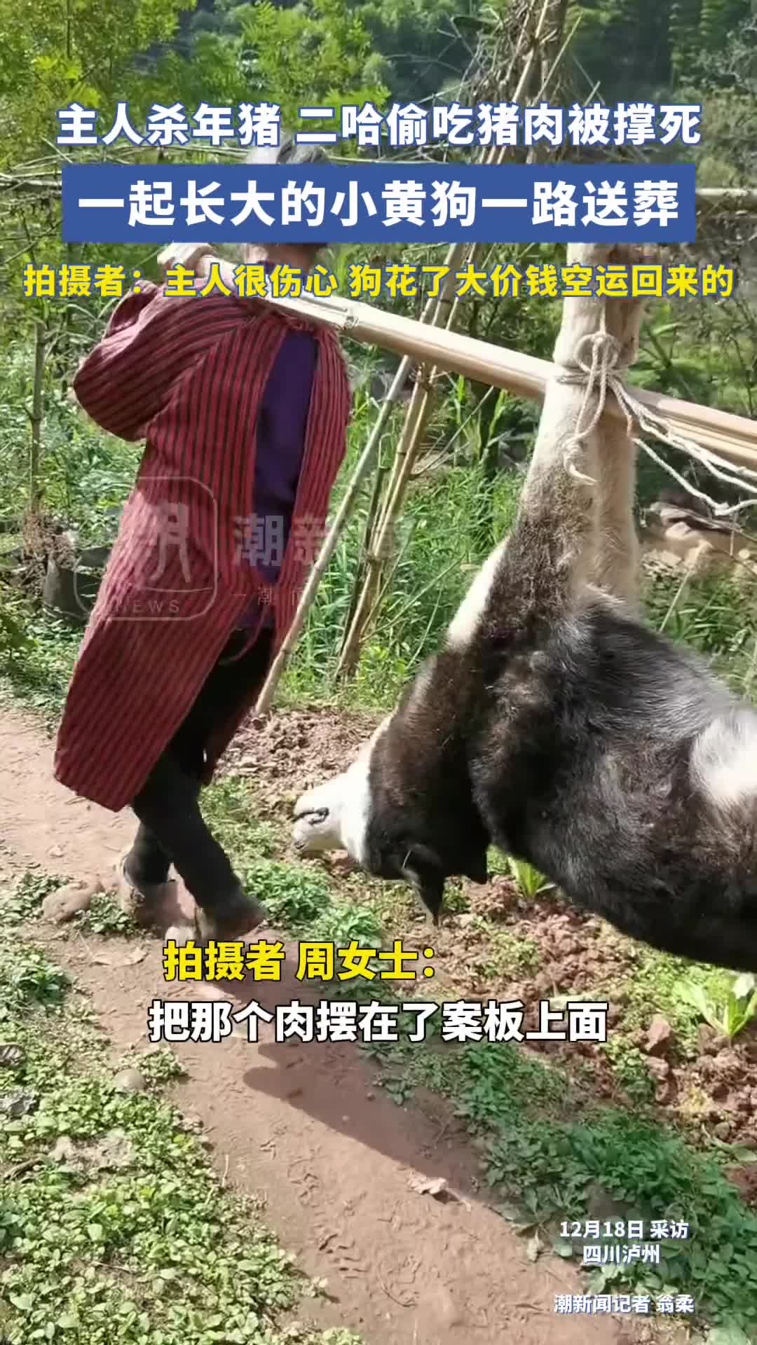 轻松一刻：想开点，肾败乃兵家常事