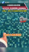 轻松一刻：我真服了！山东连KTV小妹都是行政版