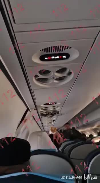 轻松一刻：这又是谁的圣诞礼物啊？