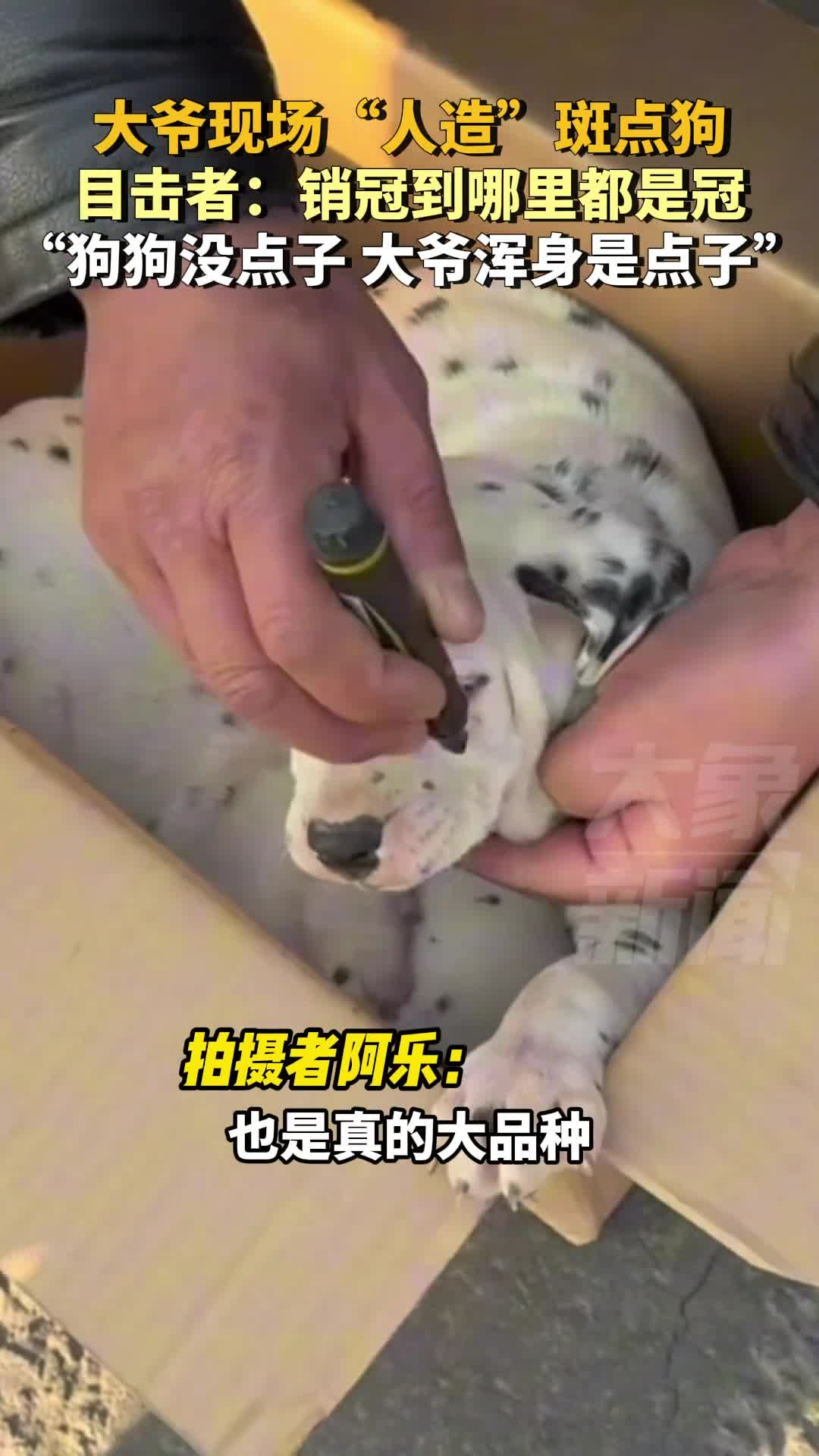 轻松一刻：你有这样的群友吗？