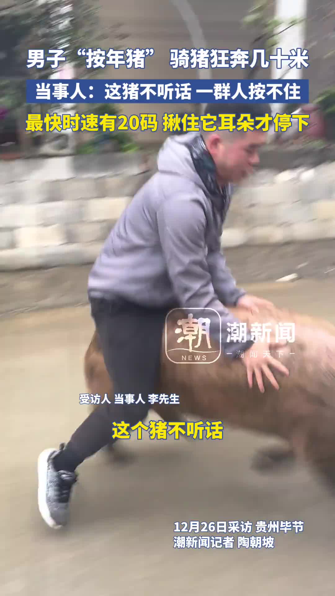 轻松一刻：你有这样的群友吗？