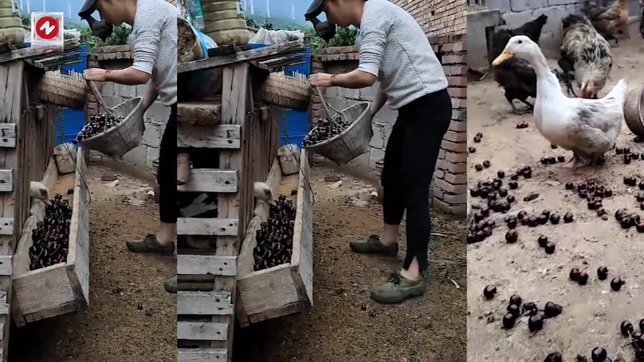 轻松一刻：跨年请注意，不要跨到别人身上