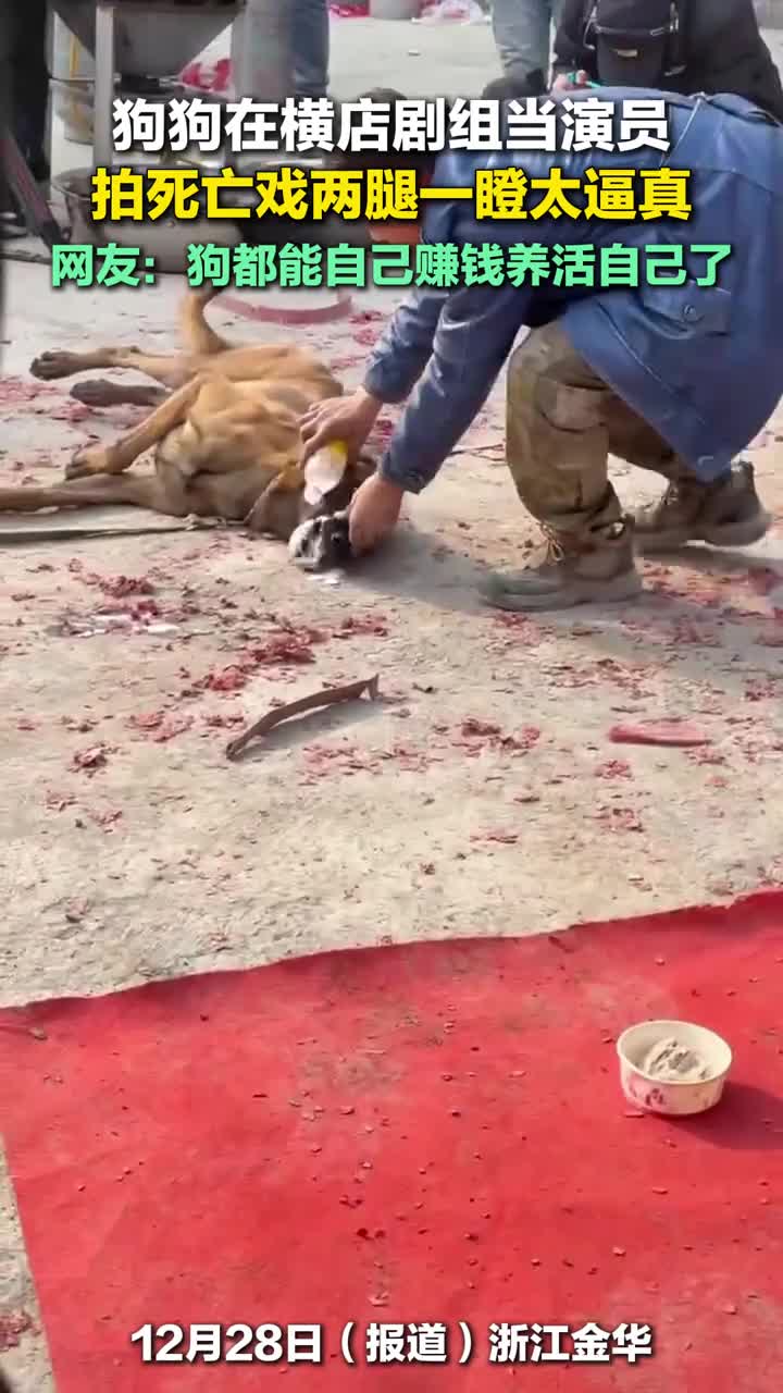 轻松一刻：快年底了，你们应该都攒了好多钱吧？