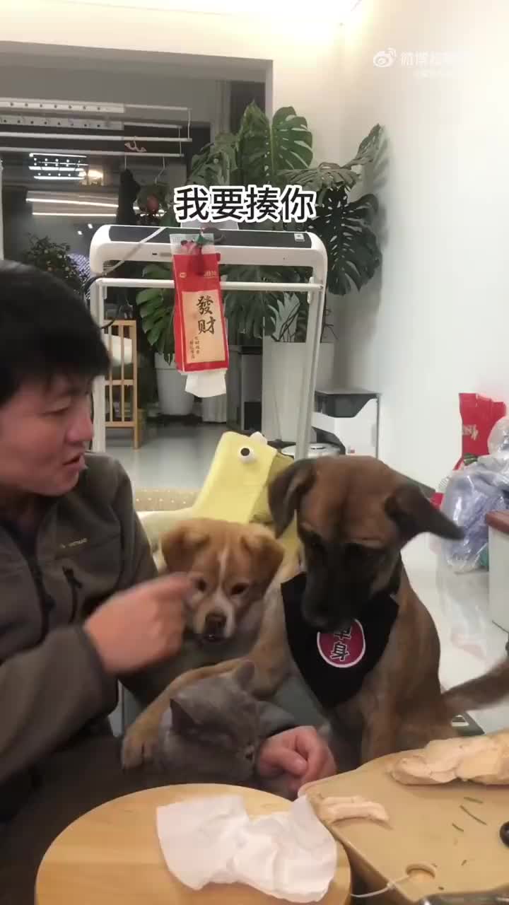 轻松一刻：在朋友圈里作诗是一个人老龄化的开始