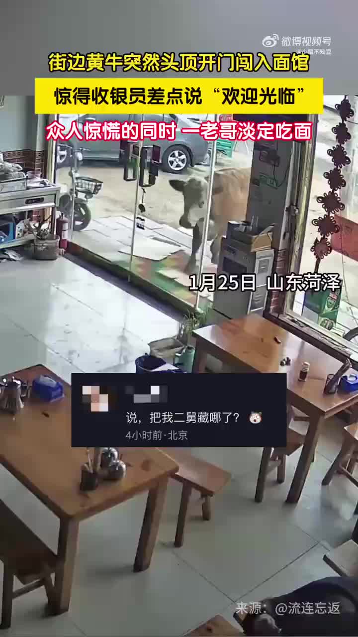 轻松一刻：不生孩子，等老了谁能给自己养老？