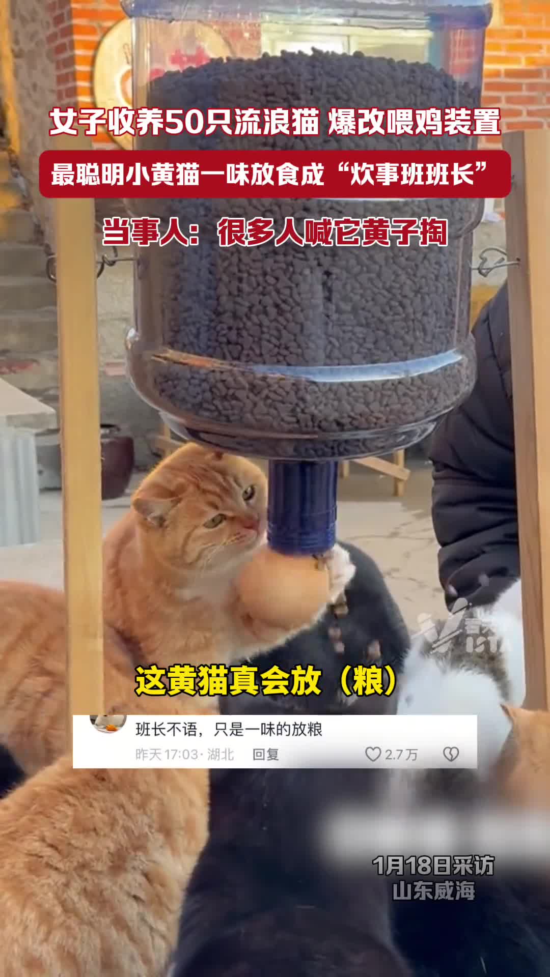 轻松一刻：男人就像地铁，错过一趟，下趟5分钟到