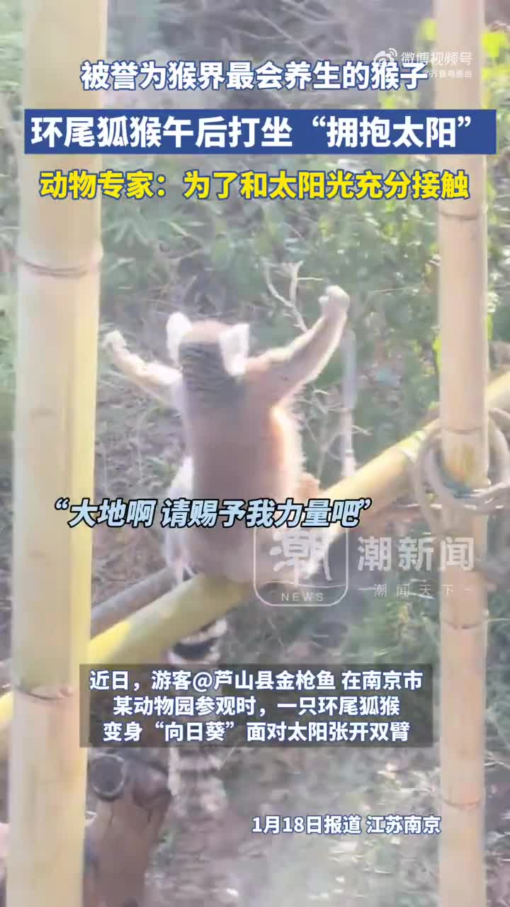轻松一刻：男人就像地铁，错过一趟，下趟5分钟到