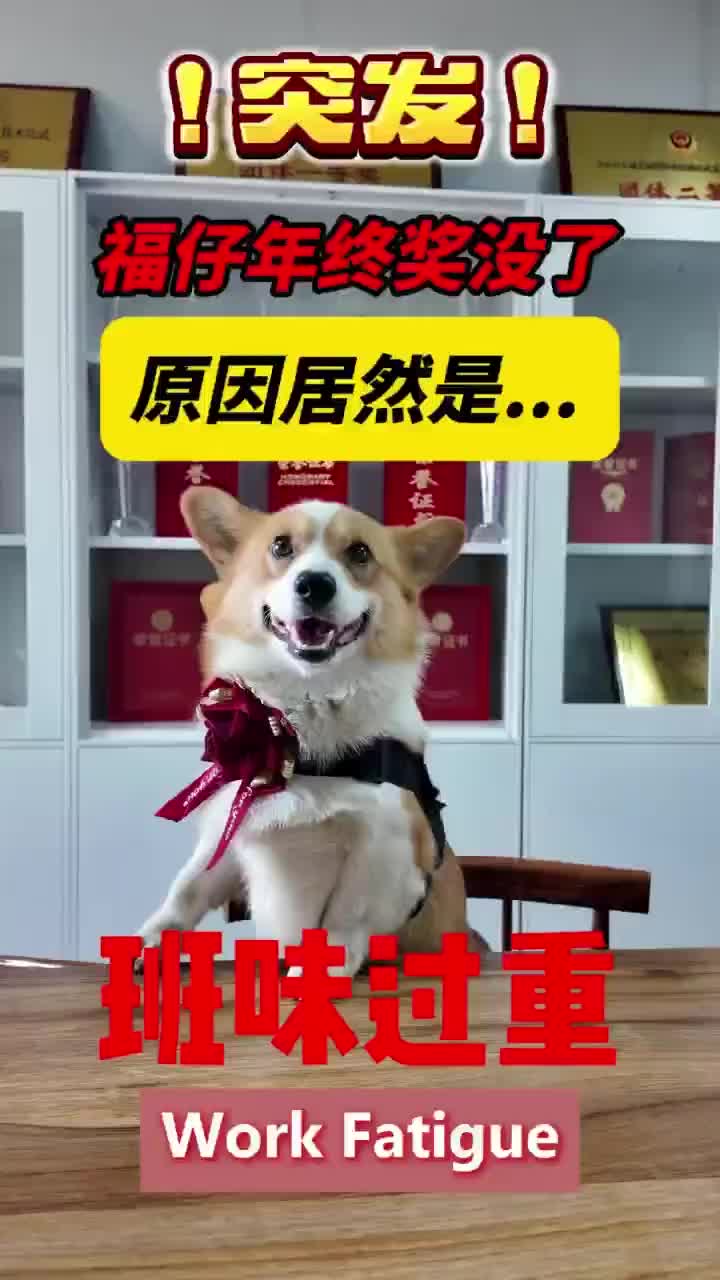 轻松一刻：每年的头12个月都是最难的，加油