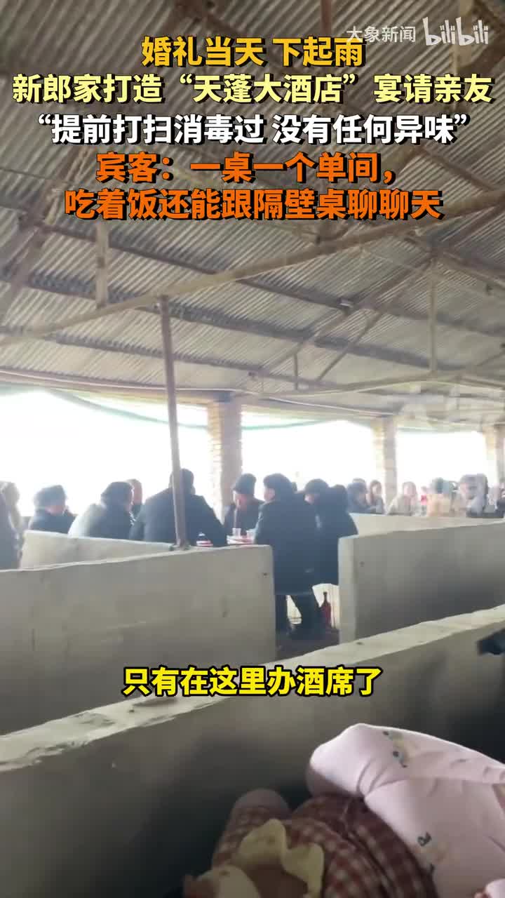 轻松一刻：是他输了吗？是他不想赢！