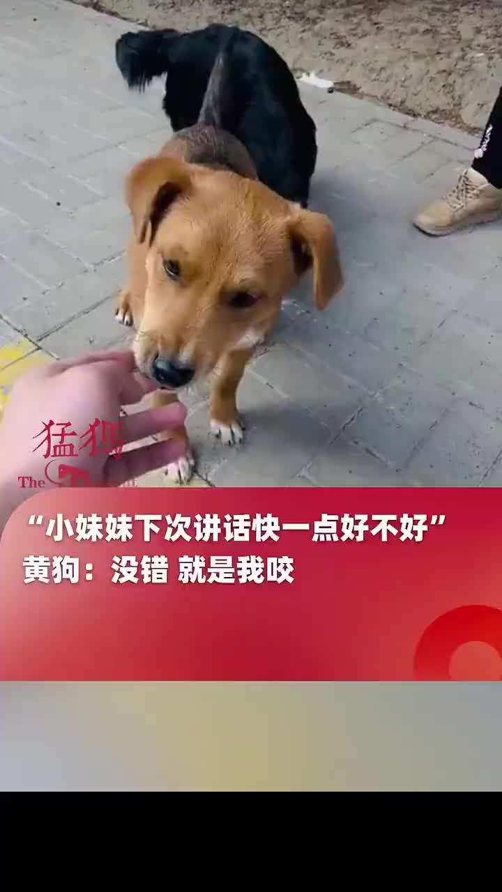 轻松一刻：终于稳定上班了，可以全职跟你们聊天了