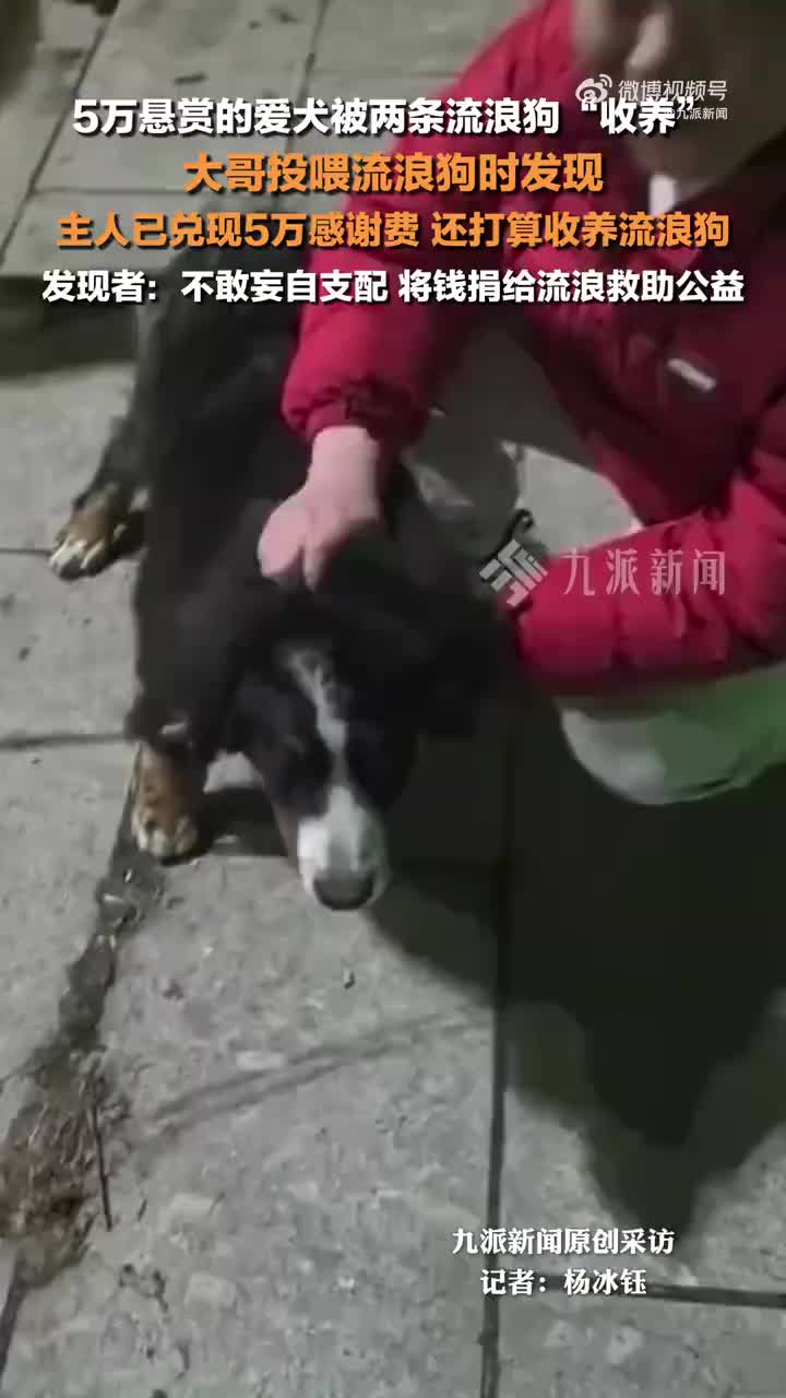 轻松一刻：为治疗三高，他竟酒驾去派出所自首