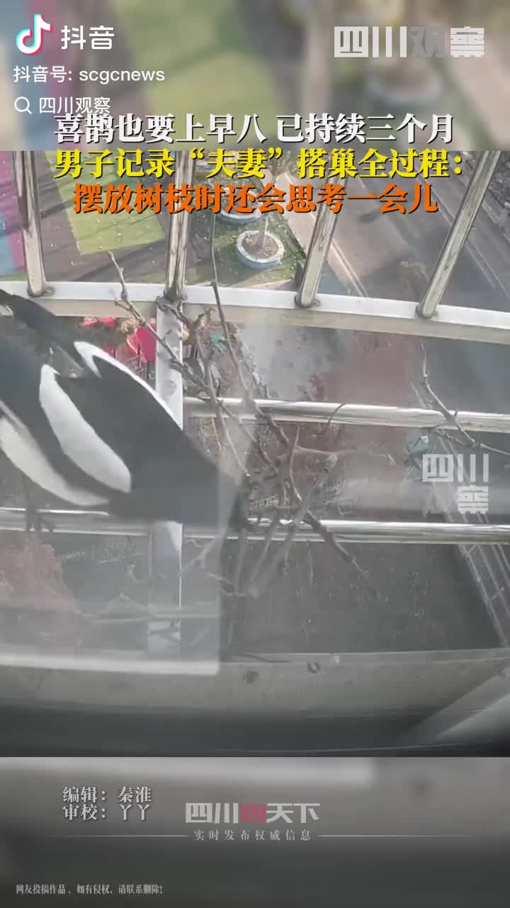 轻松一刻：人人都会说谎，最容易的就是“我没事”
