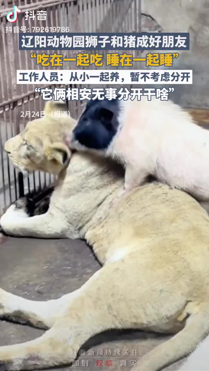 轻松一刻：世界无难事，只要肯翻脸