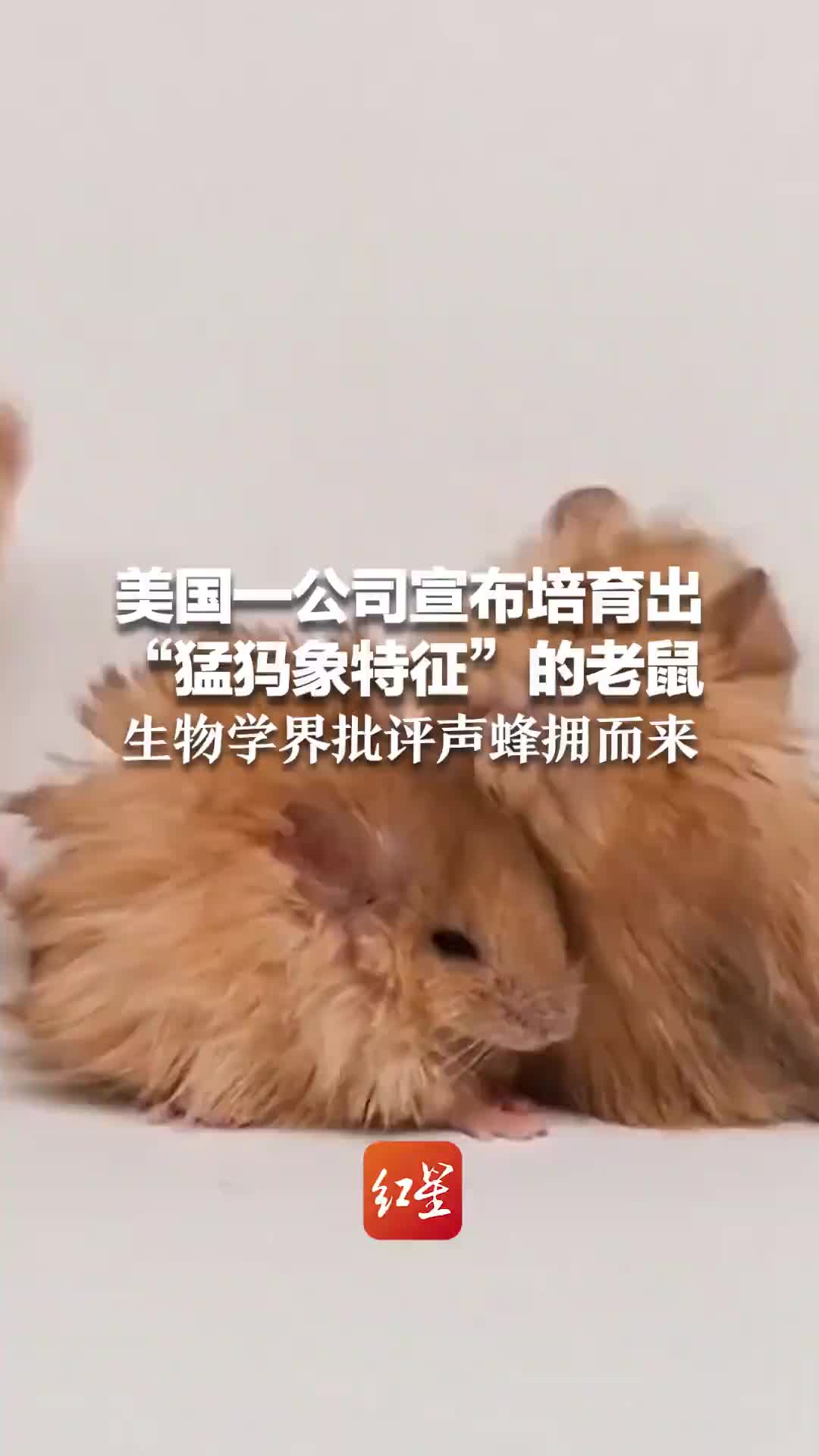 轻松一刻：这么大岁数了，还挺护食的！