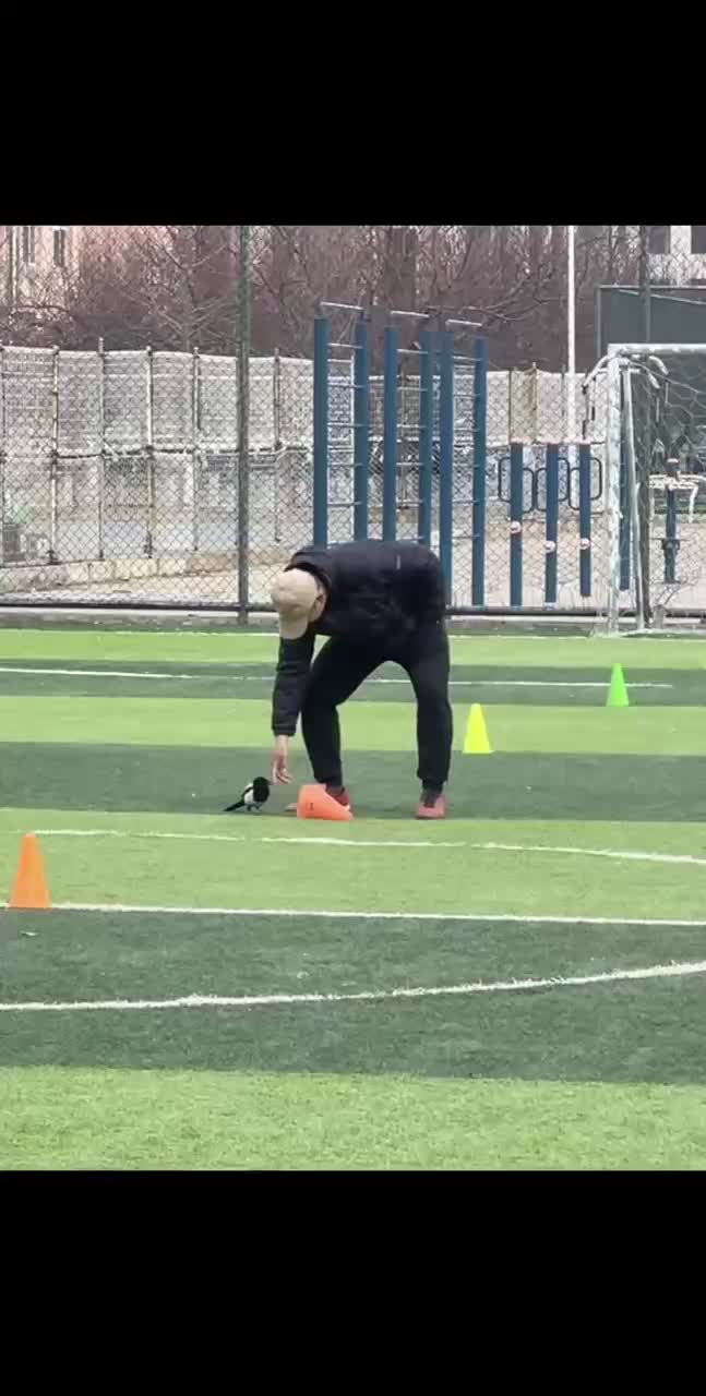 轻松一刻：年轻一定要多拍照片，以后老了还能网恋