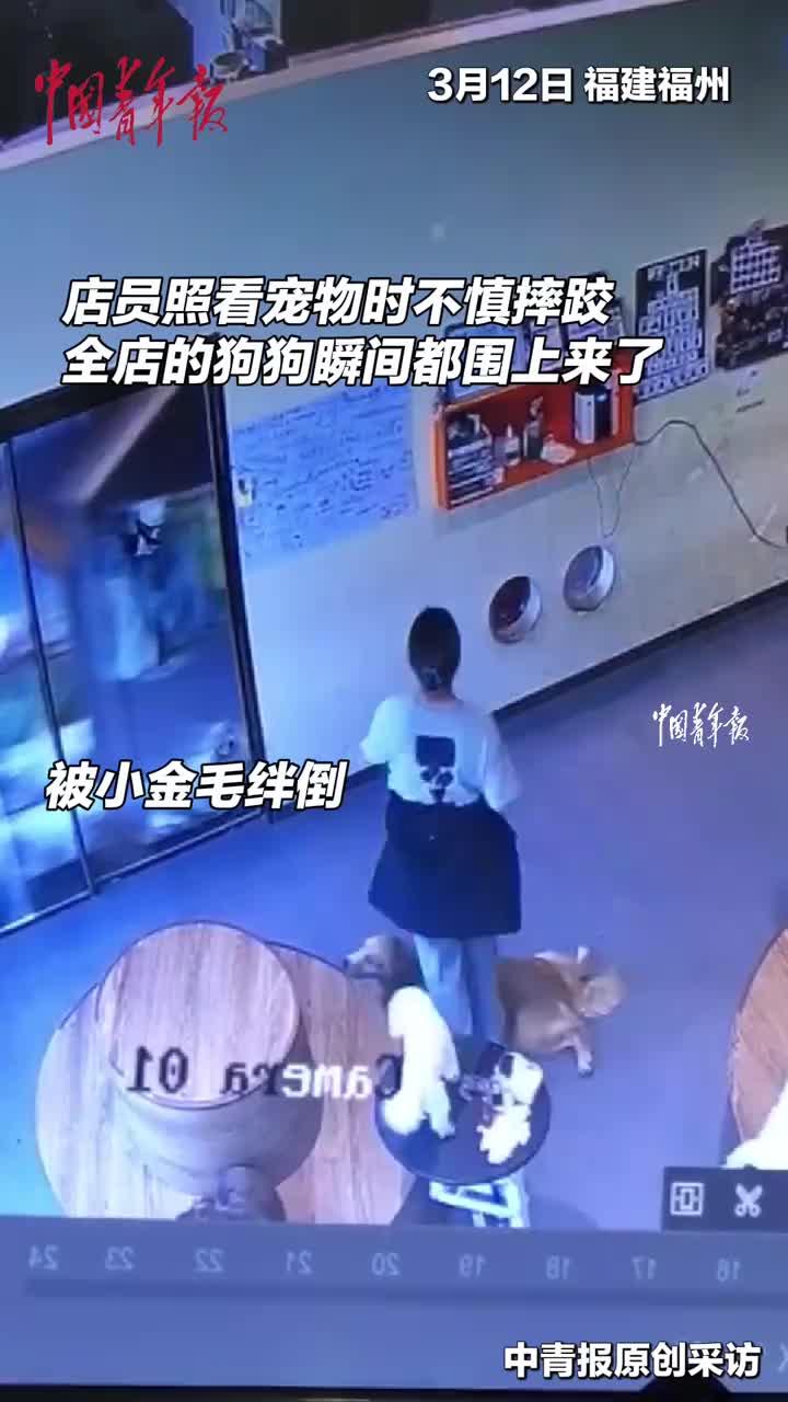 轻松一刻：Ai代替不了人类，因为人类真的莫名其妙