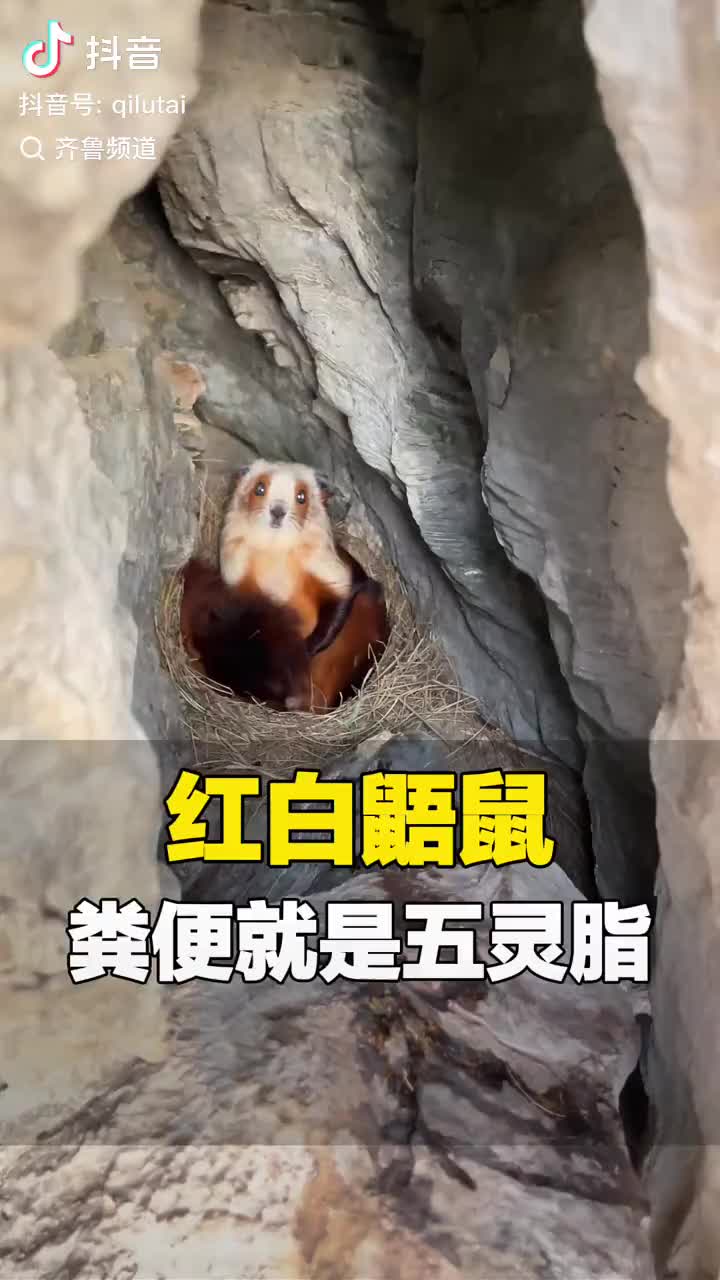 轻松一刻：别说！这家店服务还真挺别致的！