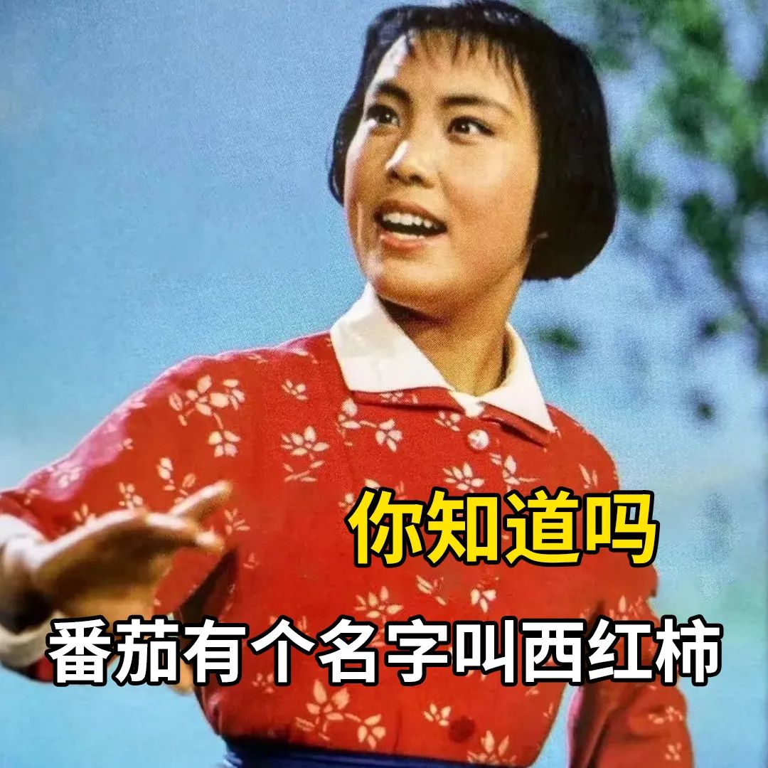 搞笑表情包