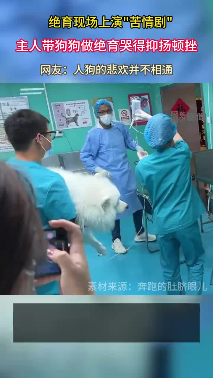 轻松一刻：人生不一定要往高处走，也可以往四处走