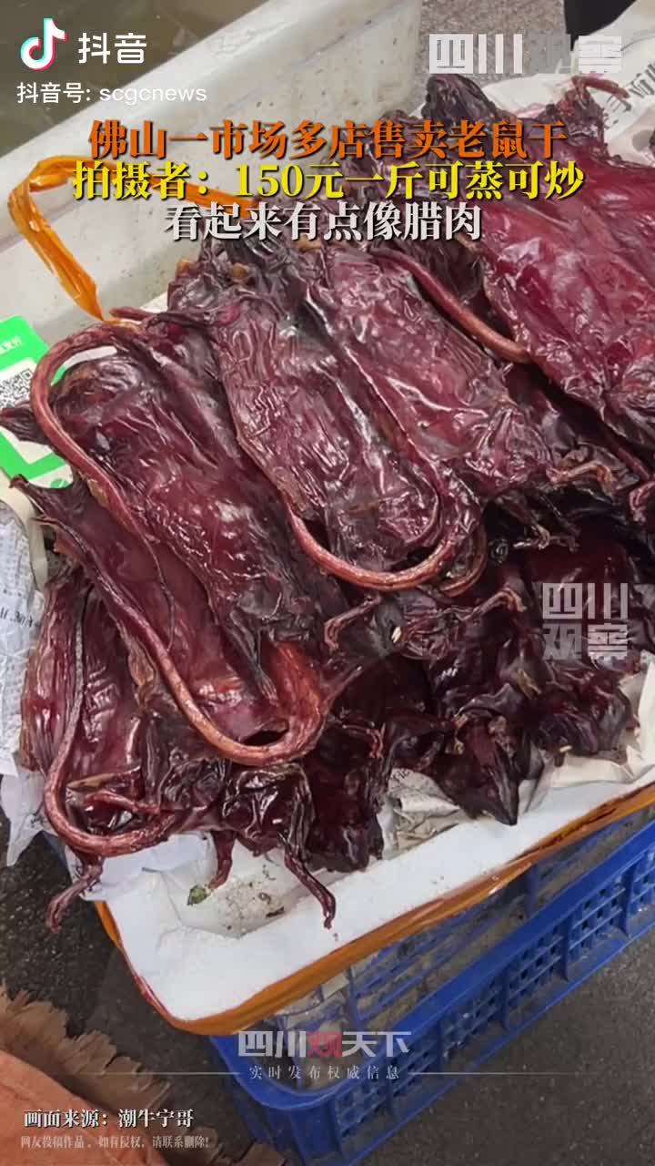 轻松一刻：可怜的猫咪，承受了它不该承受的