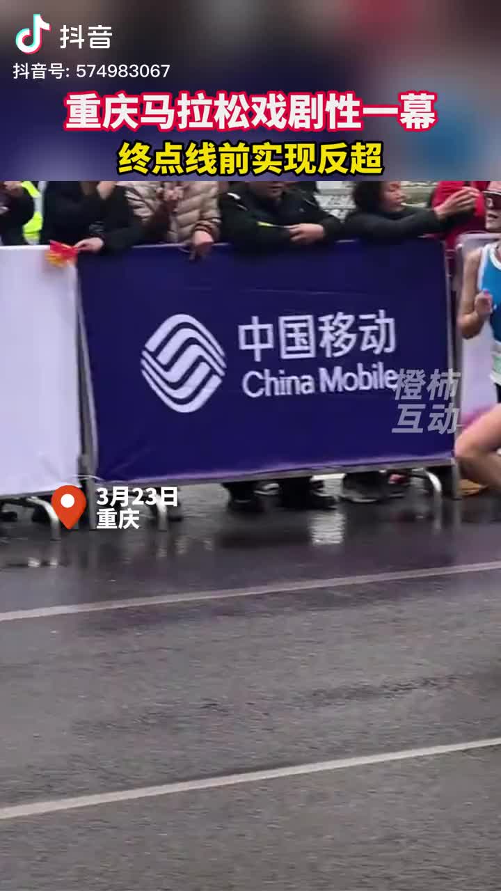 轻松一刻：可怜的猫咪，承受了它不该承受的