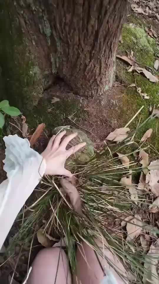 轻松一刻：可怜的猫咪，承受了它不该承受的