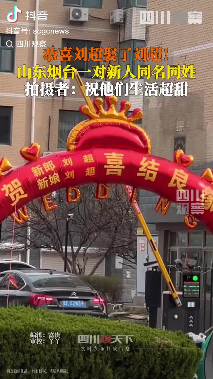 轻松一刻：可怜的猫咪，承受了它不该承受的