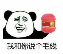 我和你说个毛线