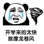 开学来的太快就像龙卷风
