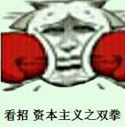 看招 资本主义之双拳