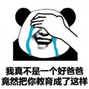 我真不是一个好爸爸