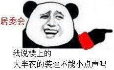 我说楼上的 大半夜的装逼不能小点声吗