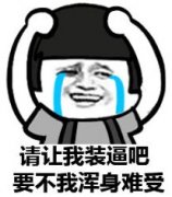 请让我装逼吧要不我浑身难受