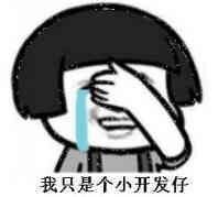 我只是个小开发仔