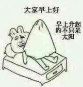 大家早上好