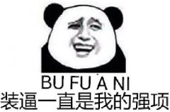 装逼一直是我的强项