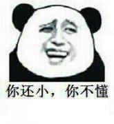 你还小,你不懂