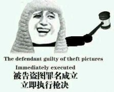 被告盗图罪名成立立即执行枪决