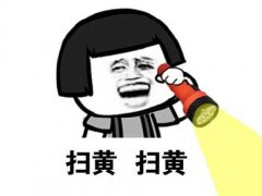 扫黄 扫黄