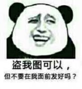 盗我图可以，但不要在我前面发好吗？