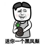 送你个黑凤梨