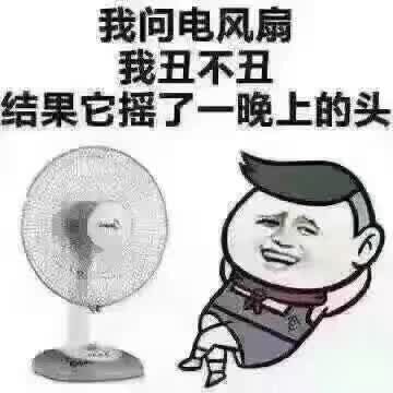 我问电风扇我丑不丑