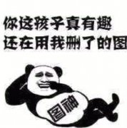 你这孩子真有趣 还在用我删了的图