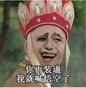 你再装逼我就喊悟空了