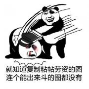 就知道复制粘贴劳资的图