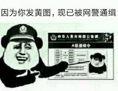 因为你发黄图,现已被网警通缉