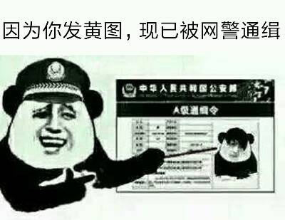 因为你发黄图,现已被网警通缉 因为你发黄图,现已被网警通缉